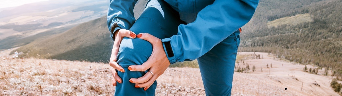 Meniscus: The Gasket of the Knee